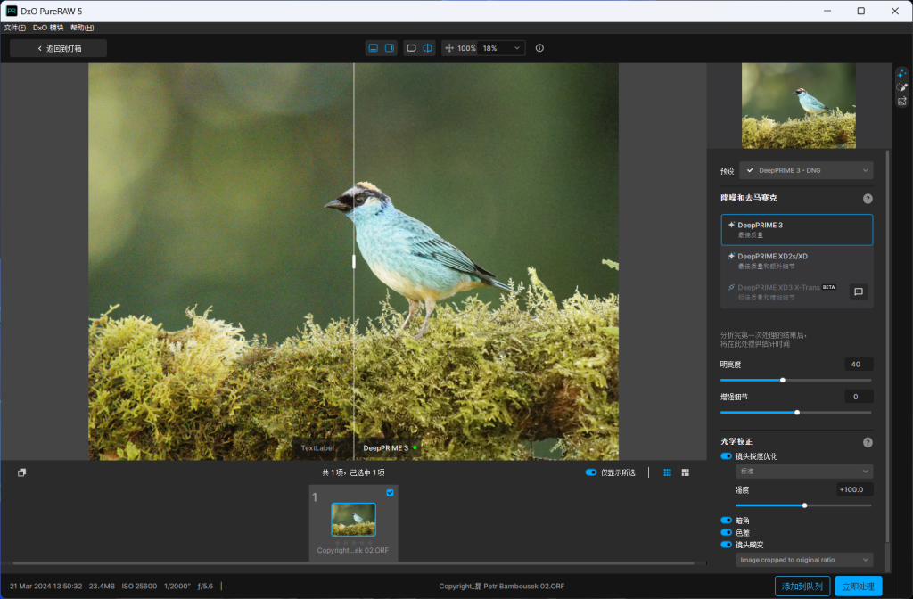 图片[1]-DxO PureRAW(图像处理软件) v5.1.0.6 中文直装版